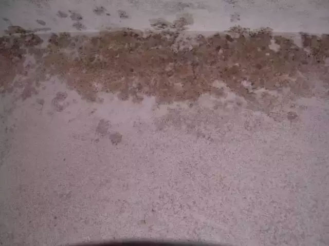 ā?zhn)ӷ۵?Ҋ(wn)}Qk